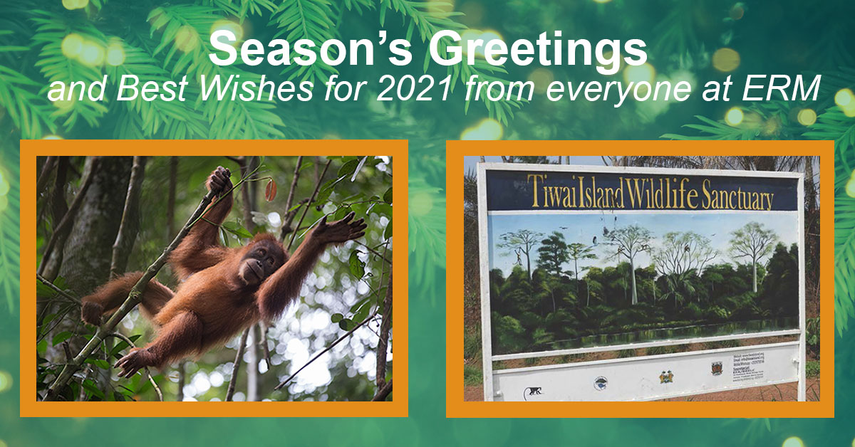 Season’s Greetings and Best Wishes for 2021 from everyone at ERM