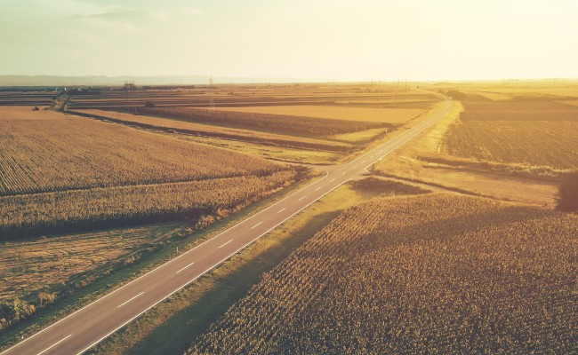 Aligning climate, nature, and markets