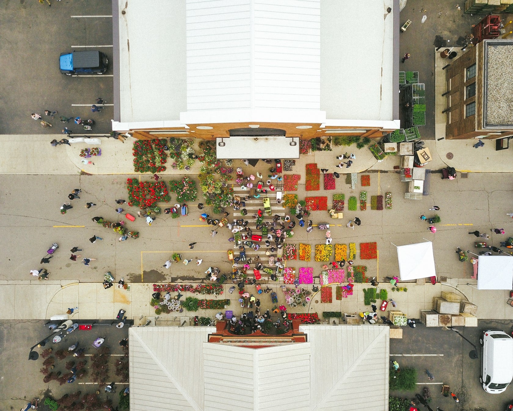 Global Societal Trends on Sustainability