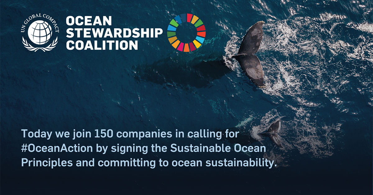Ocean Principles ERM becomes signatory to the Sustainable Ocean Principles