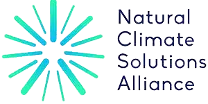 NCSA logo
