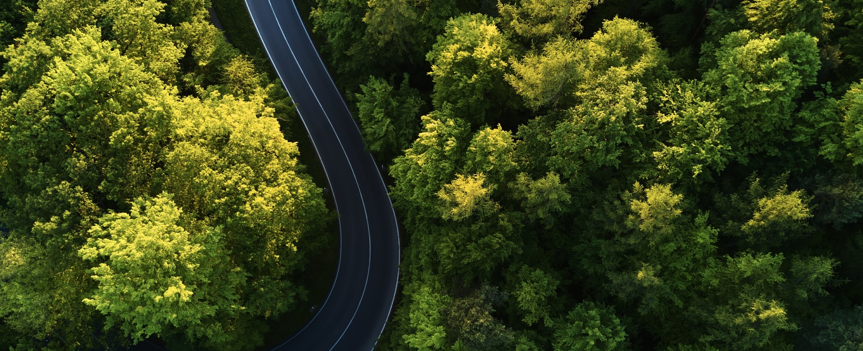 <p>The Ongoing Evolution<br />of Sustainable Business</p>