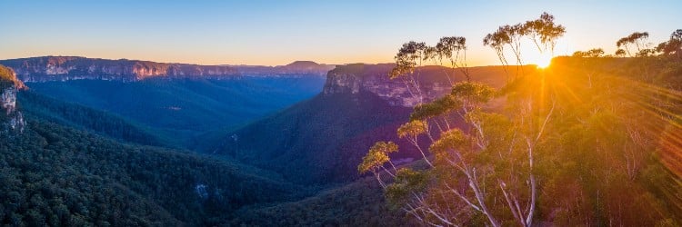 Sunrise over a vast green valley, framed by rugged cliffs and eucalyptus trees, casting golden light and long shadows across the landscape.