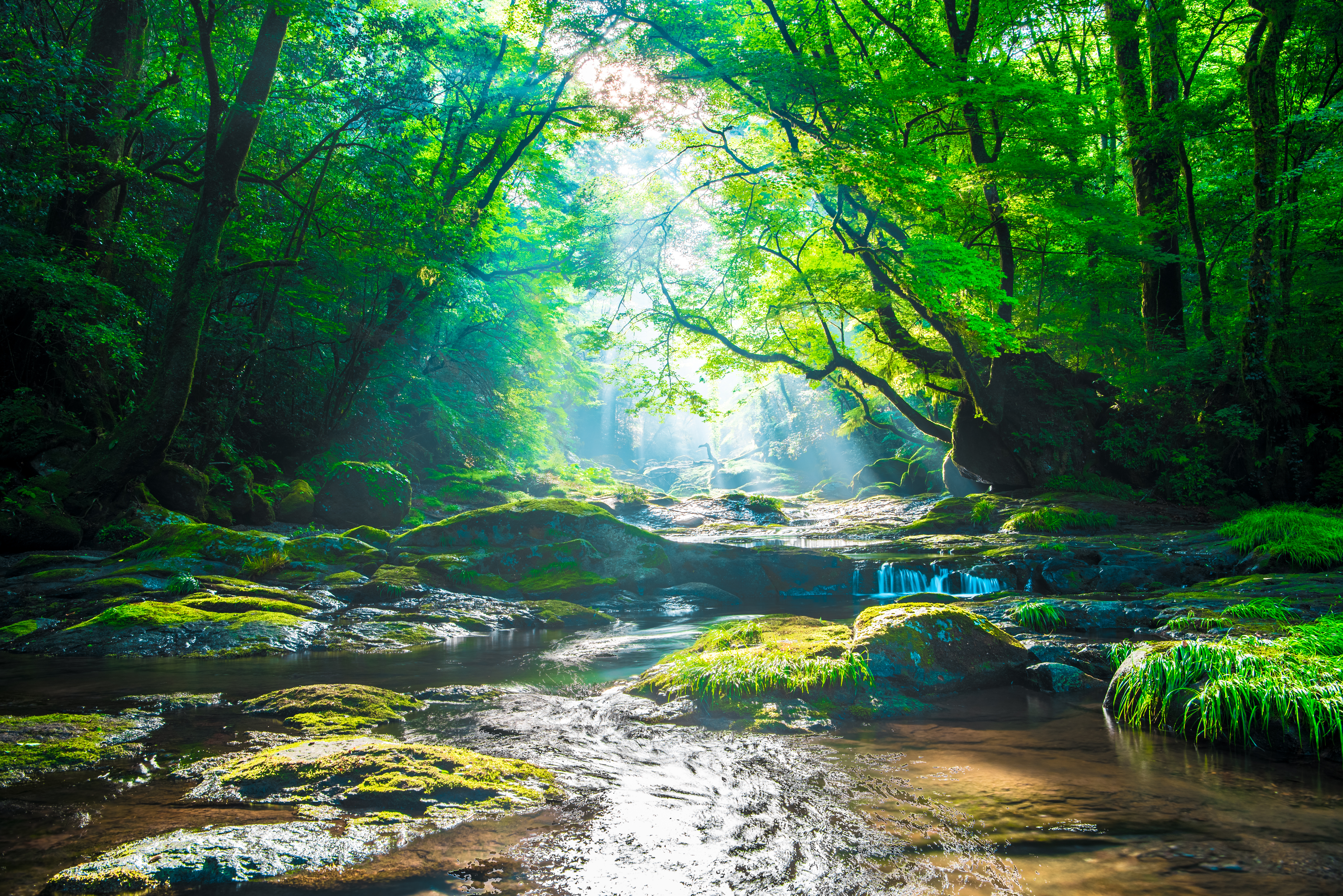 ISO 14001:2026 briefing update